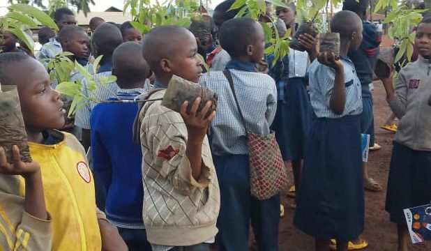 Des élèves tiennent de jeunes plants avant de les planter